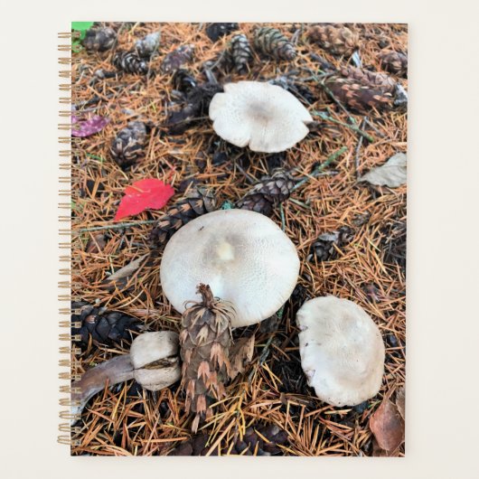 Pilze & Pine Cones Planer (Vorderseite)