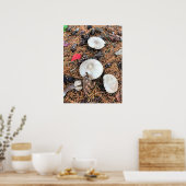 Pilze & Pine Cones Poster (Küche)