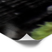 Pilze Poster (Ecke)