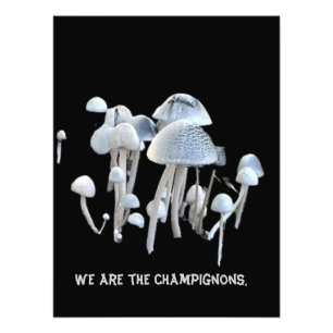 Pilze Poster