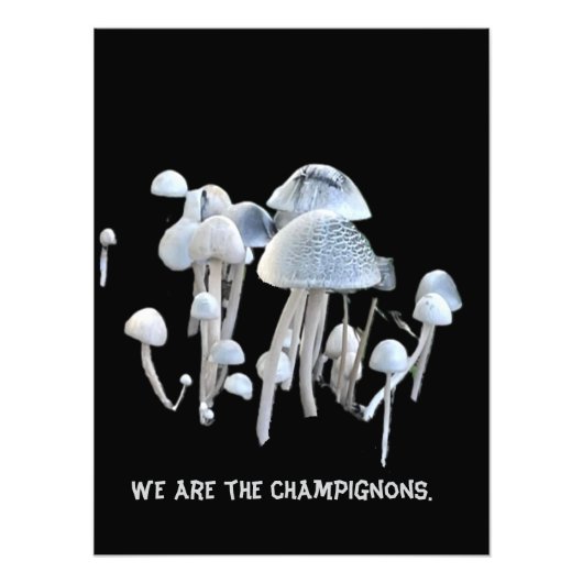 Pilze Poster (Vorne)
