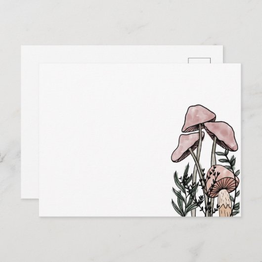 Pilze Postkarte (Vorne/Hinten)