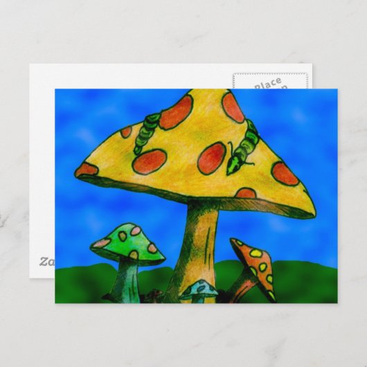 Pilze Postkarte (Vorne/Hinten)