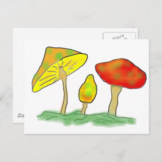 Pilze Postkarte (Vorne/Hinten)