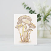 Pilze Postkarte (Stehend Vorderseite)