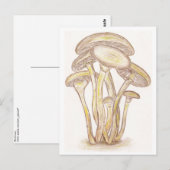 Pilze Postkarte (Vorne/Hinten)