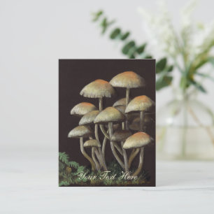 Pilze Postkarte