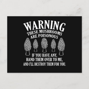 Pilze sind giftige Morels, die Mykologen jagen Postkarte