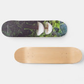Pilze Skateboard (Horizontal)
