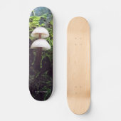 Pilze Skateboard (Vorderseite)