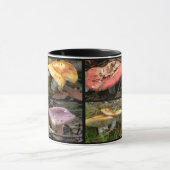 Pilze Tasse (Zentrum)