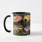 Pilze Tasse (Links)