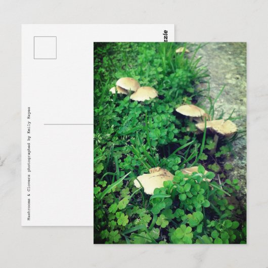 Pilze und Cloud Postkarte (Vorne/Hinten)