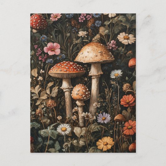 Pilze und Wildblumen, botanisch Postkarte (Vorderseite)