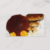 Pilze Visitenkarte (Rückseite)