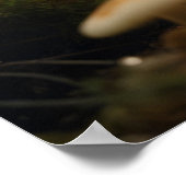 Pilze wachsen im Wald Poster (Ecke)