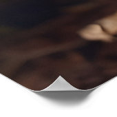 Pilze wachsen im Wald Poster (Ecke)