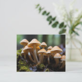 Pilze wachsen im Wald Postkarte (Stehend Vorderseite)