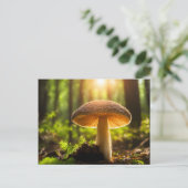 Pilze wachsen im Wald Postkarte (Stehend Vorderseite)
