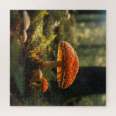 Pilze wachsen im Wald Puzzle (Horizontal)