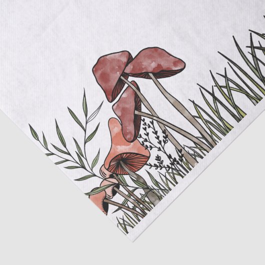 Pilzfeld Seidenpapier (Ausschnitt)