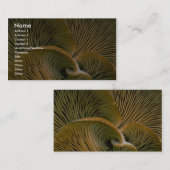 Pilzgruppe auf einem toten Baum Visitenkarte (Vorne/Hinten)