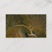 Pilzgruppe auf einem toten Baum Visitenkarte (Rückseite)