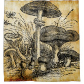 Pilzgruppe V 7 Duschvorhang (Vorderseite)