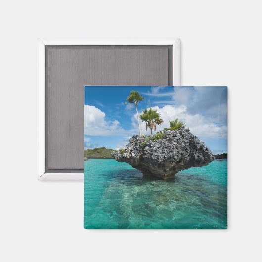 Pilzinseln auf Fidschi Magnet (Vorderseite/Rückseite)