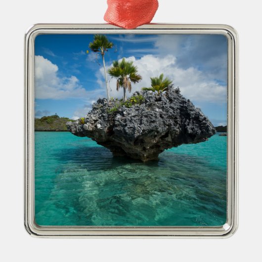 Pilzinseln auf Fidschi Ornament Aus Metall (Vorne)