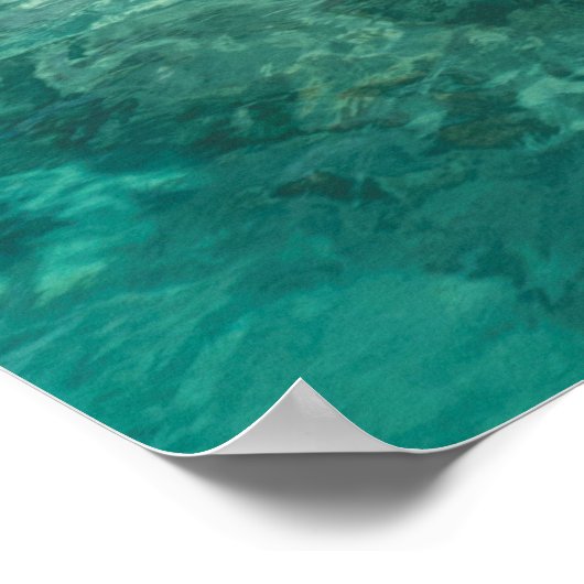 Pilzinseln auf Fidschi Poster (Ecke)