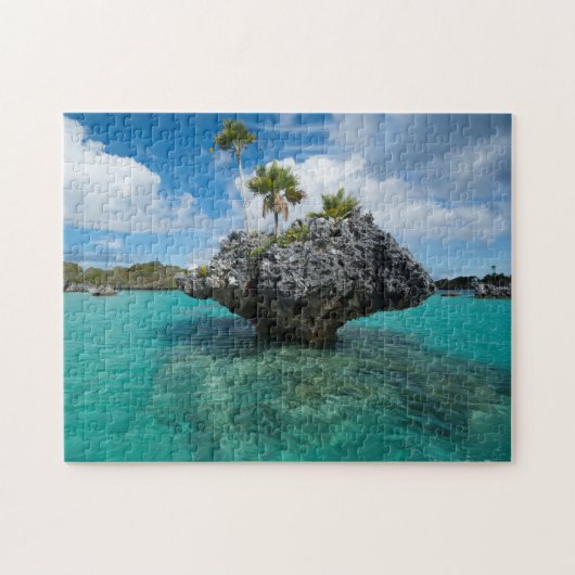 Pilzinseln in Fidschi Puzzle (Horizontal)