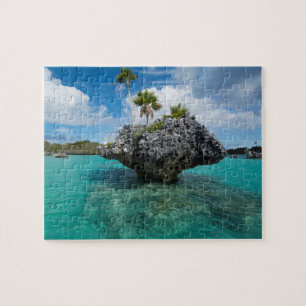 Pilzinseln in Fidschi Puzzle