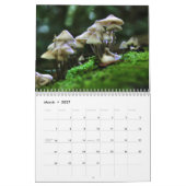 Pilzkalender Kalender (Mär 2027)