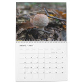 Pilzkalender Kalender (Jan 2027)