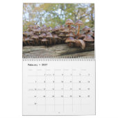 Pilzkalender Kalender (Feb 2027)