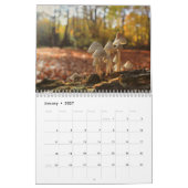 Pilzkalender Kalender (Jan 2027)