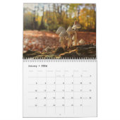 Pilzkalender Kalender (Jan 2026)