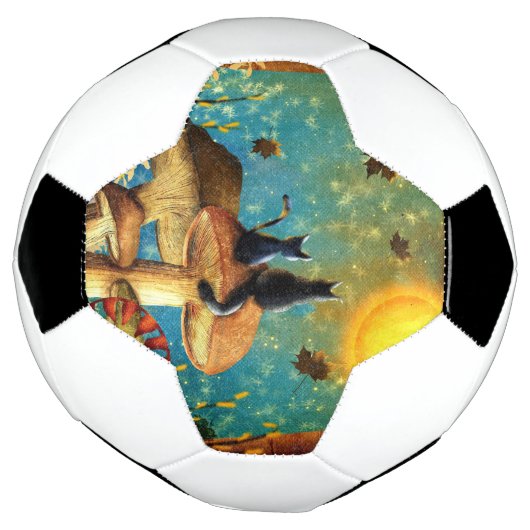 Pilzkatzen Fußball (Gedreht)