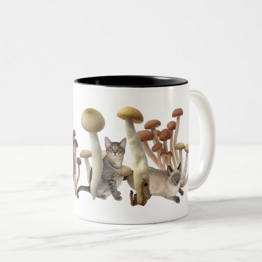 Pilzkatzen Zweifarbige Tasse (VorderseiteRechts)