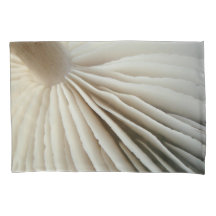 Pilzkiemen und -klotz