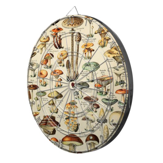 Pilzkollektion   dartscheibe (Vorderseite rechts)