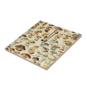 Pilzkollektion fliese (Seite)