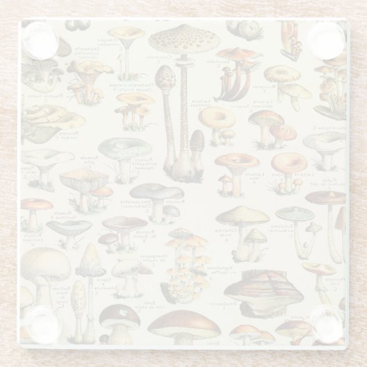 Pilzkollektion glasuntersetzer (Rückseite)