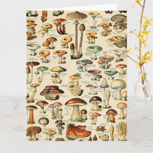 Pilzkollektion Karte (Gelbe Blume)