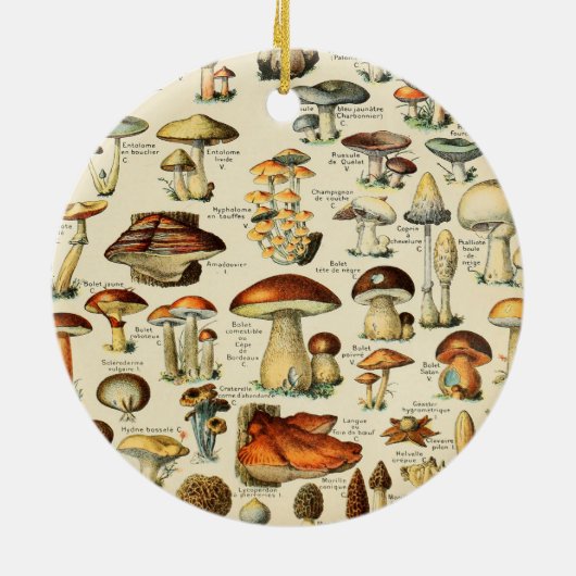 Pilzkollektion Keramik Ornament (Hinten)