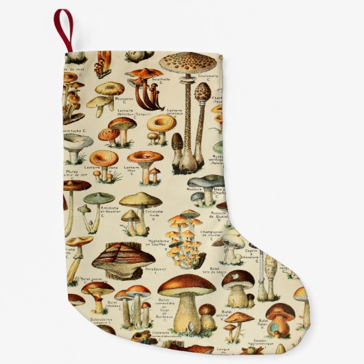 Pilzkollektion kleiner weihnachtsstrumpf (Vorderseite)