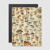 Pilzkollektion Magnetkarte (Vorne/Hinten)