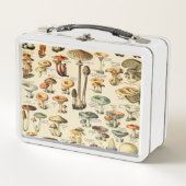 Pilzkollektion metall brotdose (Vorderseite)