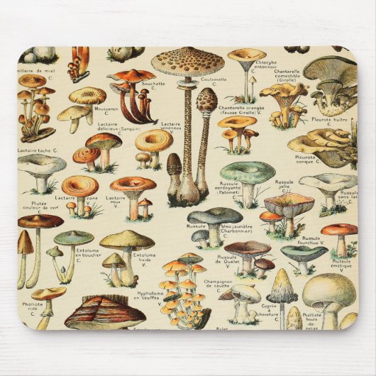 Pilzkollektion Mousepad (Vorne)